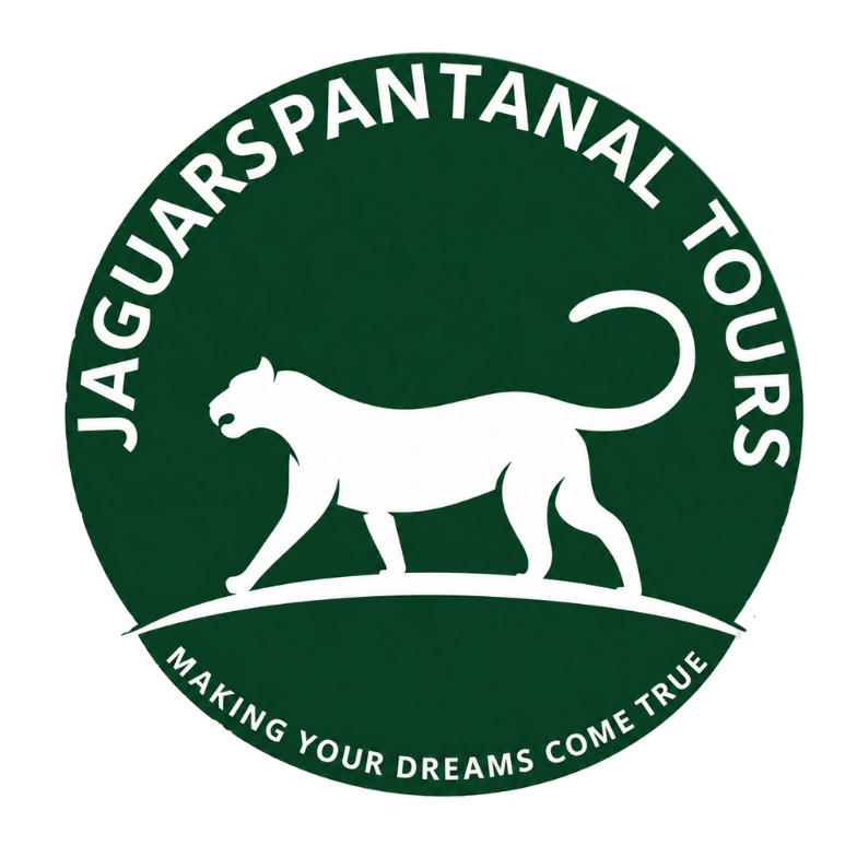 Jaguars Pantanal Tours